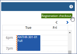 A student's planning calendar showing a full course and the 'Registration checkout' button